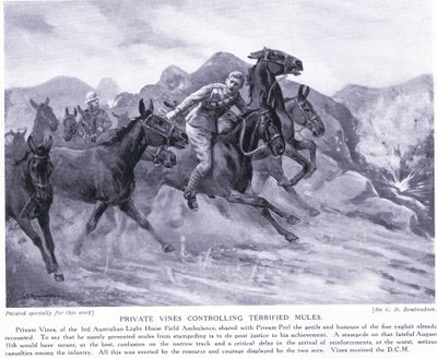Private Vines awarded the DCM for controlling terrified mules August 1915 by George Derville Rowlandson